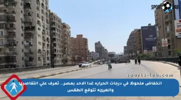 انخفاض ملحوظ في درجات الحرارة غدا الأحد بمصر.. تعرف على التفاصيل والهيئة تتوقع الطقس